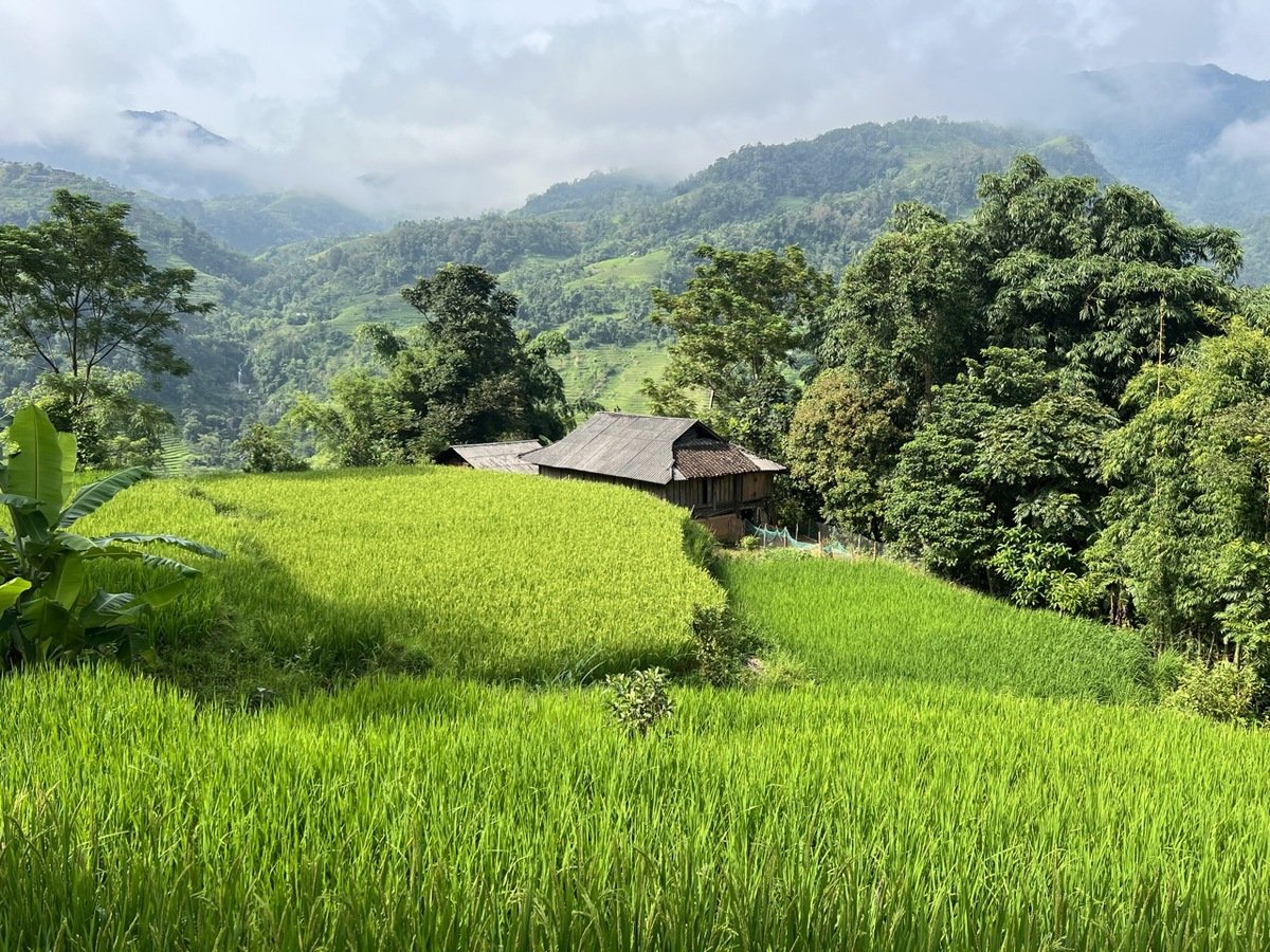 Bản Luốc: Vẻ đẹp bình yên ở nơi có ruộng bậc thang đẹp nhất Hà Giang - ảnh 3