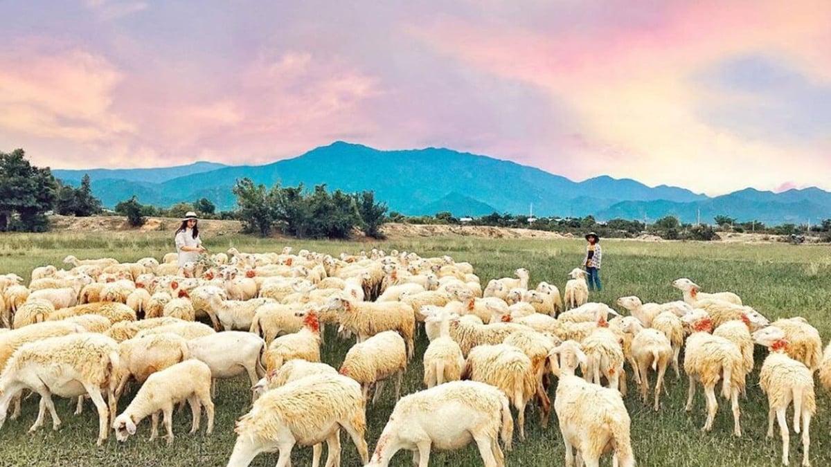 Top 5 điểm đến Ninh Thuận phù hợp cho gia đình du lịch hè 2025 - ảnh 2