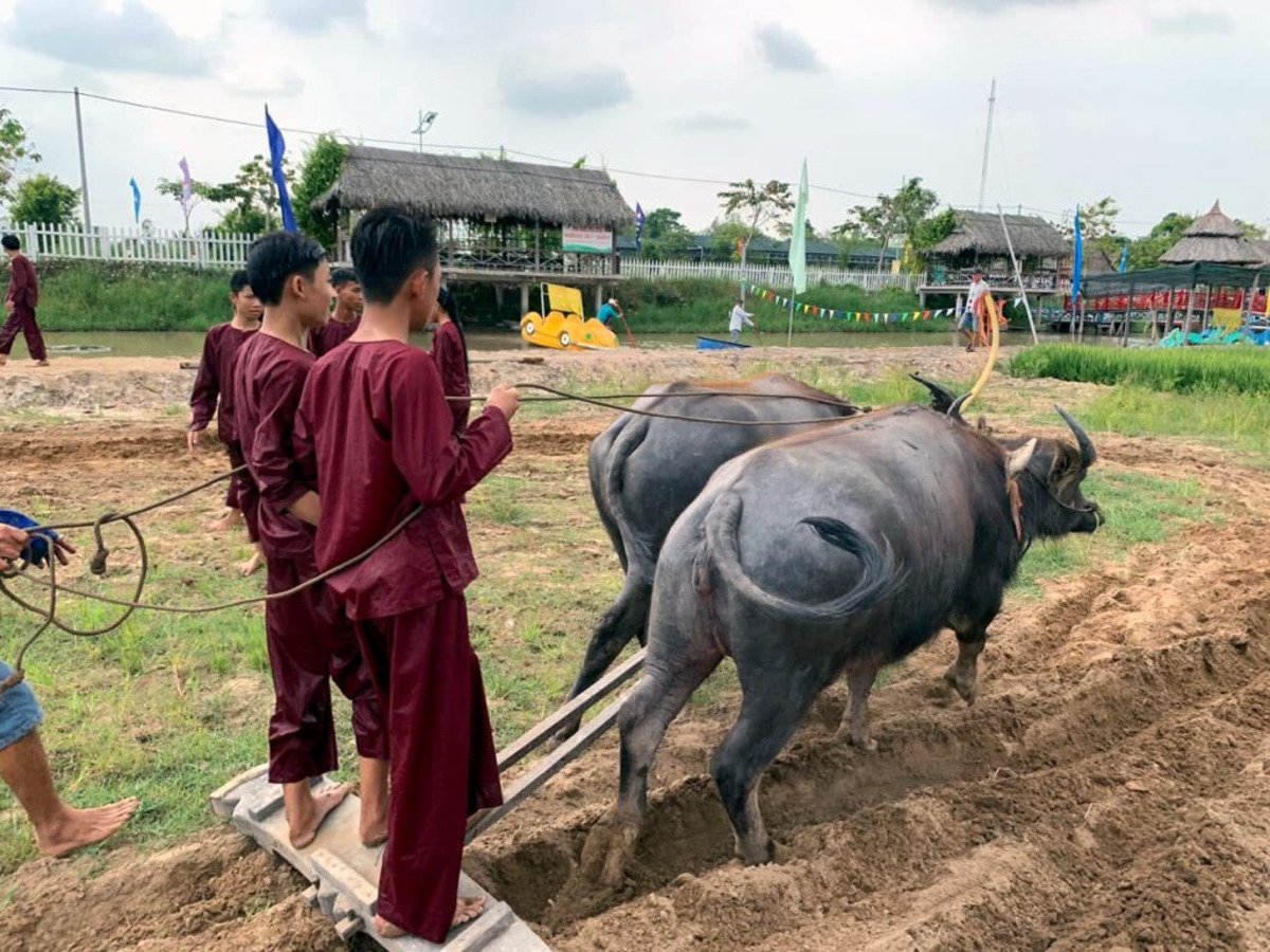 Trải nghiệm một ngày làm nông dân với những hoạt động thú vị (Ảnh: Thám Hiểm Mekong)