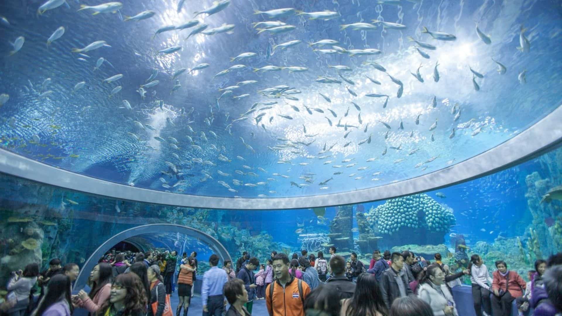 Top 7 địa điểm vui chơi ở Nha Trang cho gia đình có trẻ nhỏ - ảnh 2