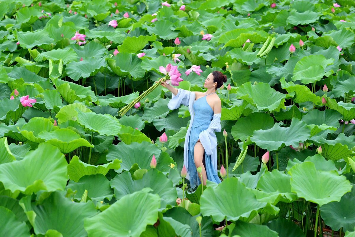 Vườn hoa Phương Linh: Địa điểm sống ảo tuyệt đẹp tại Hà Nội - ảnh 3
