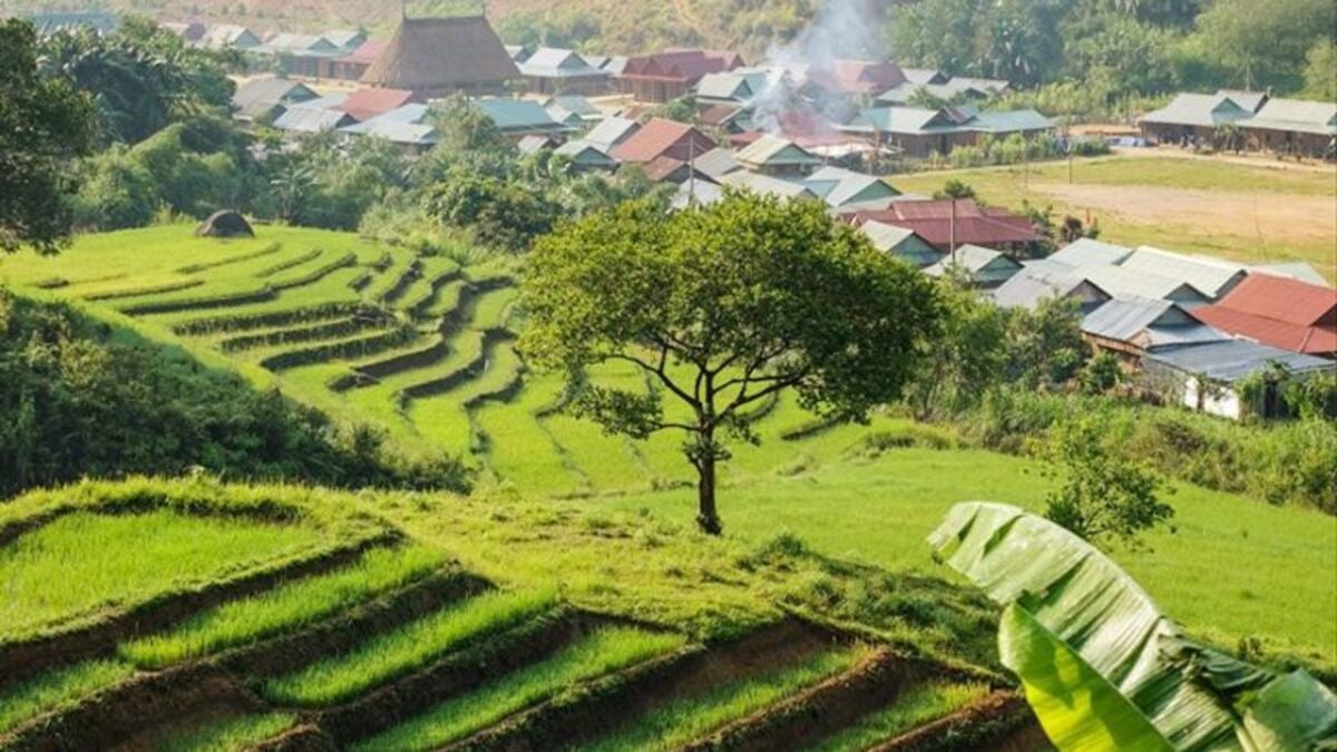 Ruộng bậc thang Chuôr (Nguồn: Internet)