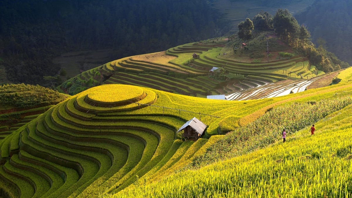 Vẻ đẹp của Hồ Thầu: Địa danh nổi bật ở Hoàng Su Phì Hà Giang - ảnh 1