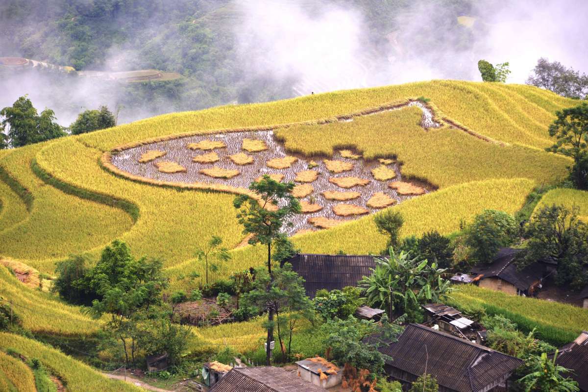 Vẻ đẹp của Hồ Thầu: Địa danh nổi bật ở Hoàng Su Phì Hà Giang - ảnh 2
