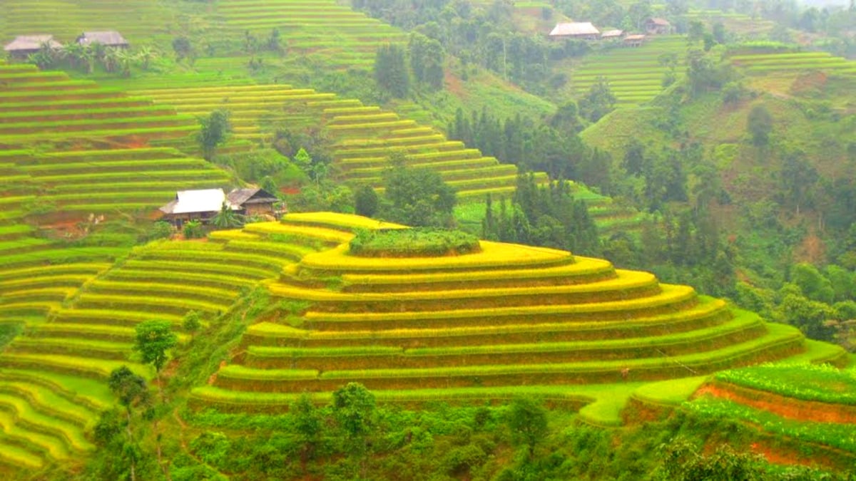 Vẻ đẹp của Hồ Thầu: Địa danh nổi bật ở Hoàng Su Phì Hà Giang - ảnh 3