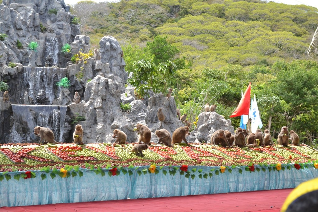 Top 7 lễ hội tại Nha Trang diễn ra hàng năm - ảnh 3