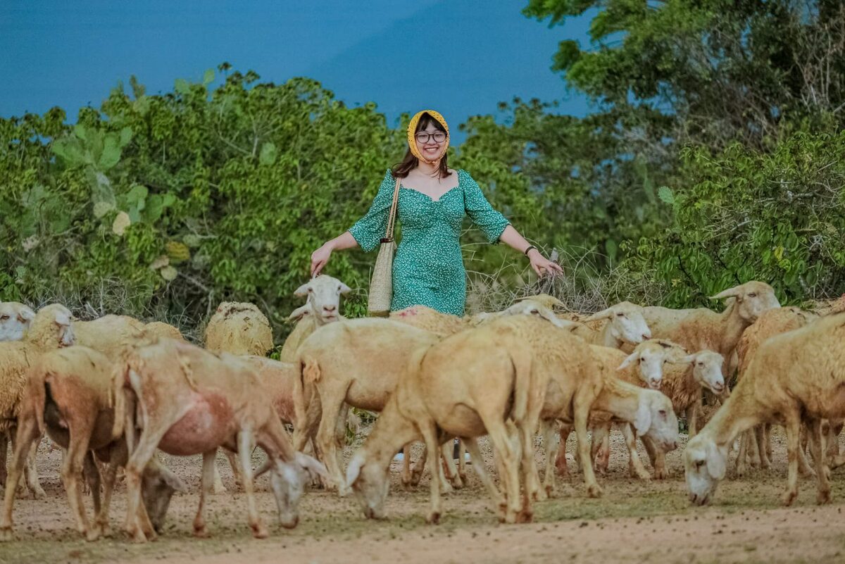 Trải nghiệm những hoạt động hấp dẫn nhất Ninh Thuận không phải đâu cũng có hè 2025 - ảnh 1