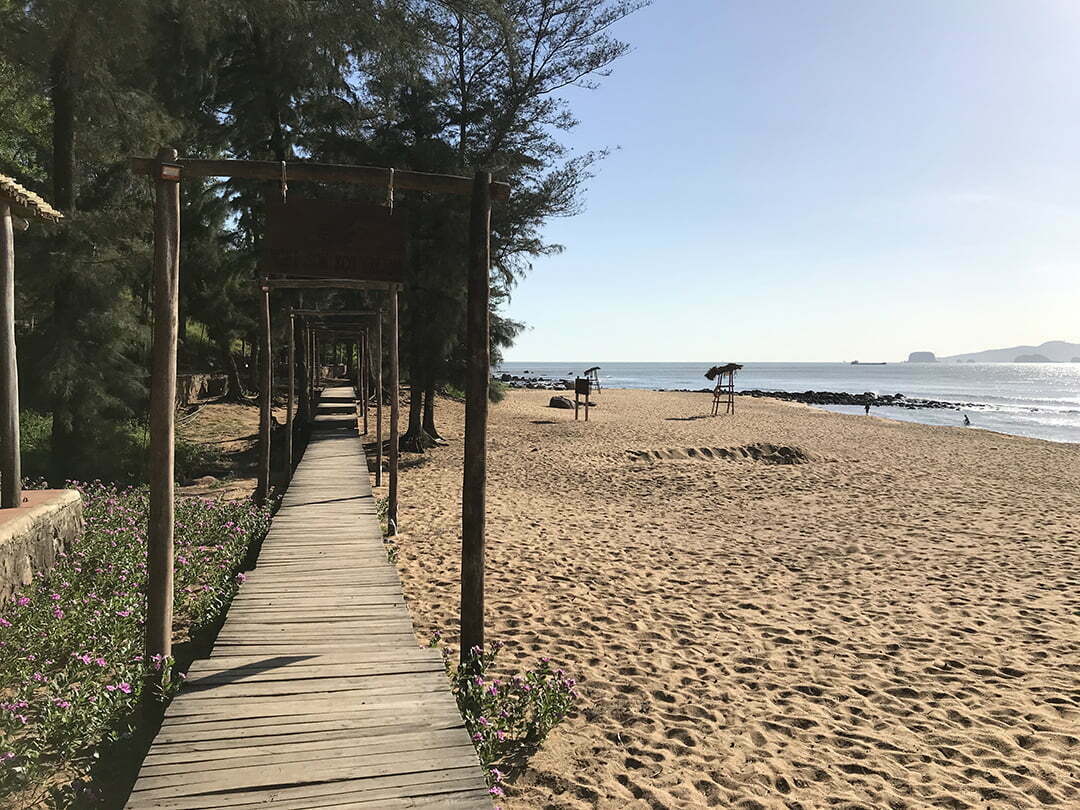 Bãi Đông Thanh Hóa (Ảnh: Internet)