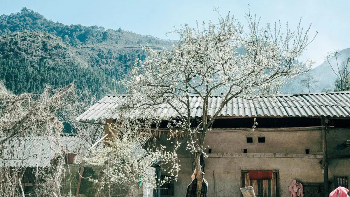 Phó Bảng Hà Giang: Nét cổ kính trên cao nguyên đá Đồng Văn - ảnh 2