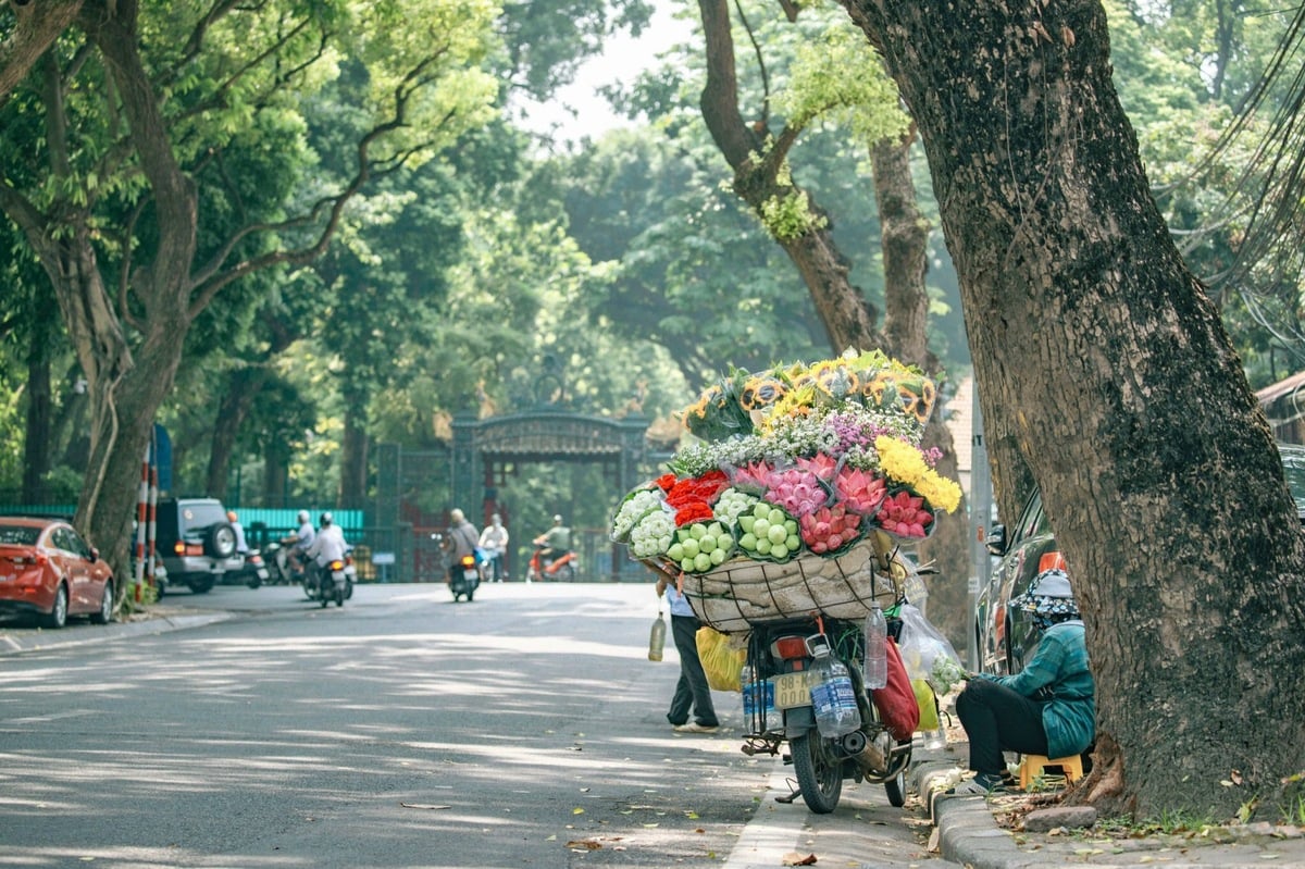 Đường phố Hà Nội. (Ảnh: Internet)