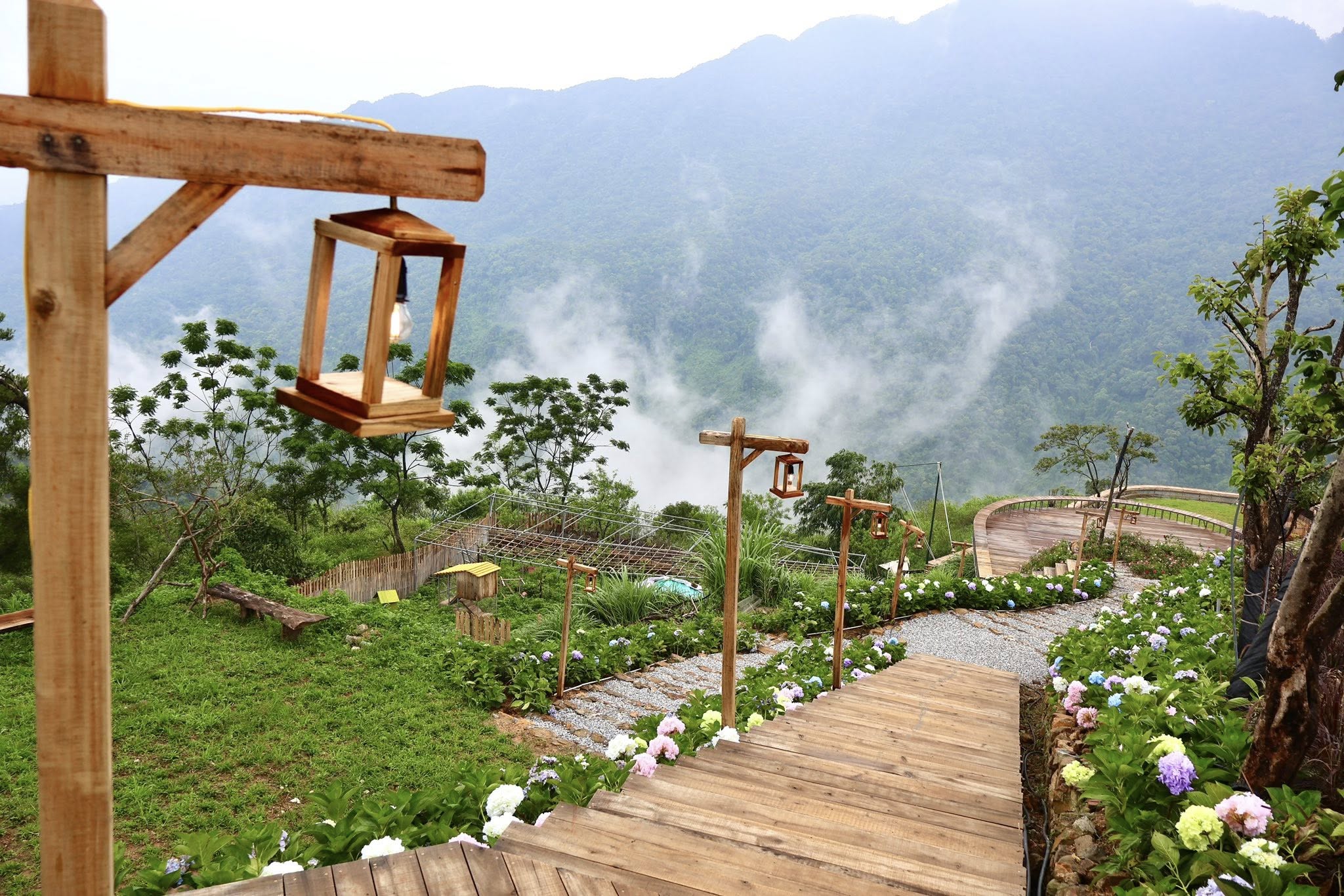 Tam Đảo (Ảnh: Nông trại bản mây Tam Đảo)
