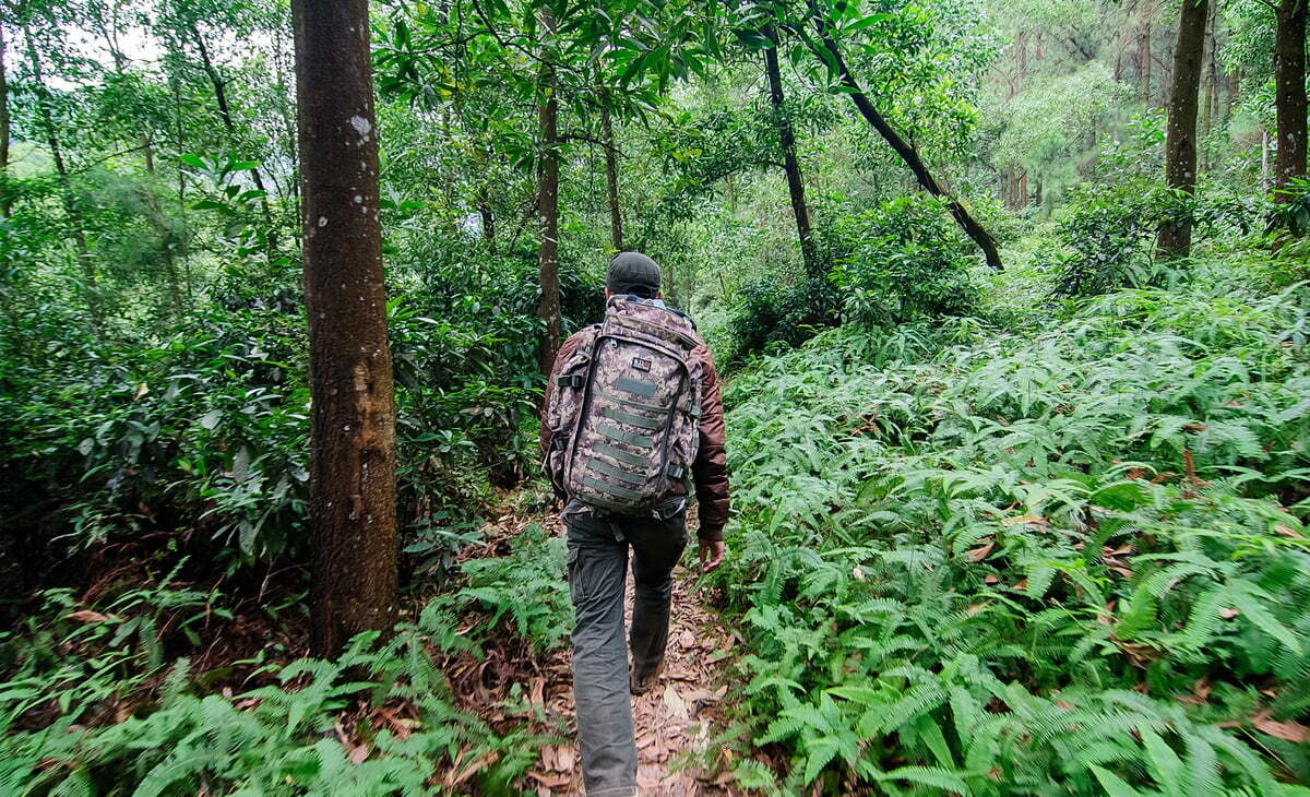 'Bỏ phố về rừng' trải nghiệm cắm trại ở địa điểm hoang sơ cách Hà Nội 40km - ảnh 3