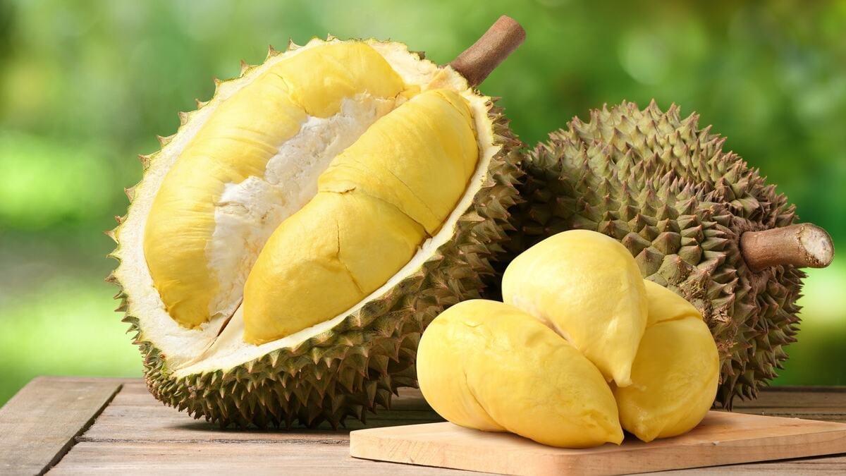 Đi tham quan nên mang đồ ăn vặt gì? - ảnh 3