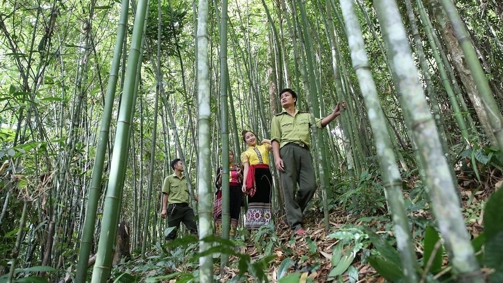 Khám phá 5 nơi 'bí mật' tại Nghệ An đẹp như tranh vẽ nhưng ít người đặt chân tới - ảnh 2
