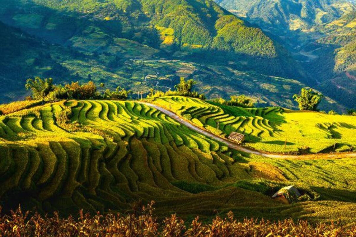Tháng 7 có nên đi du lịch không? - ảnh 2