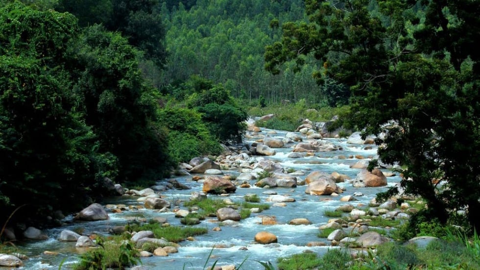 Vẻ đẹp hoang sơ và yên bình (Ảnh: Internet)