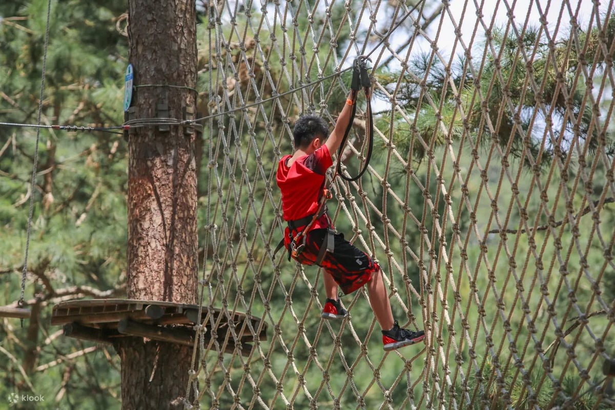 Đu dây vượt chướng ngại vật - High Rope Course (Ảnh: Klook)