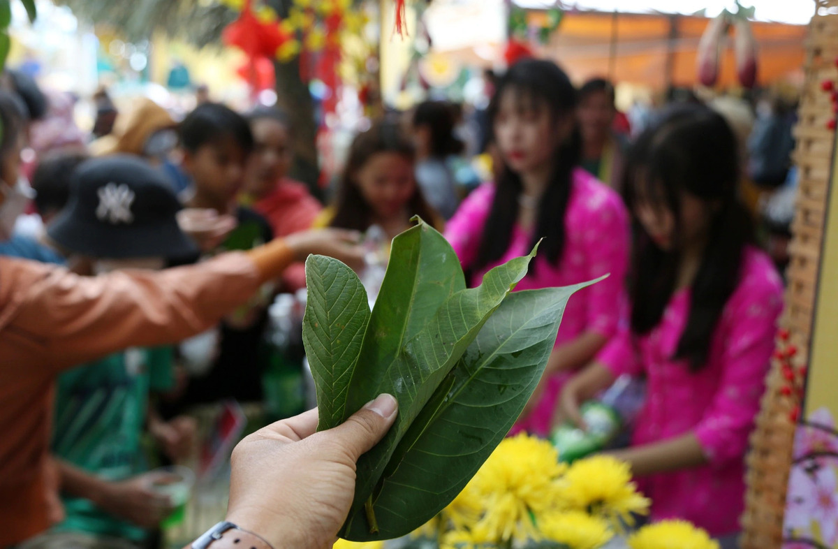 Chợ lá Tây Ninh (Nguồn: Internet)