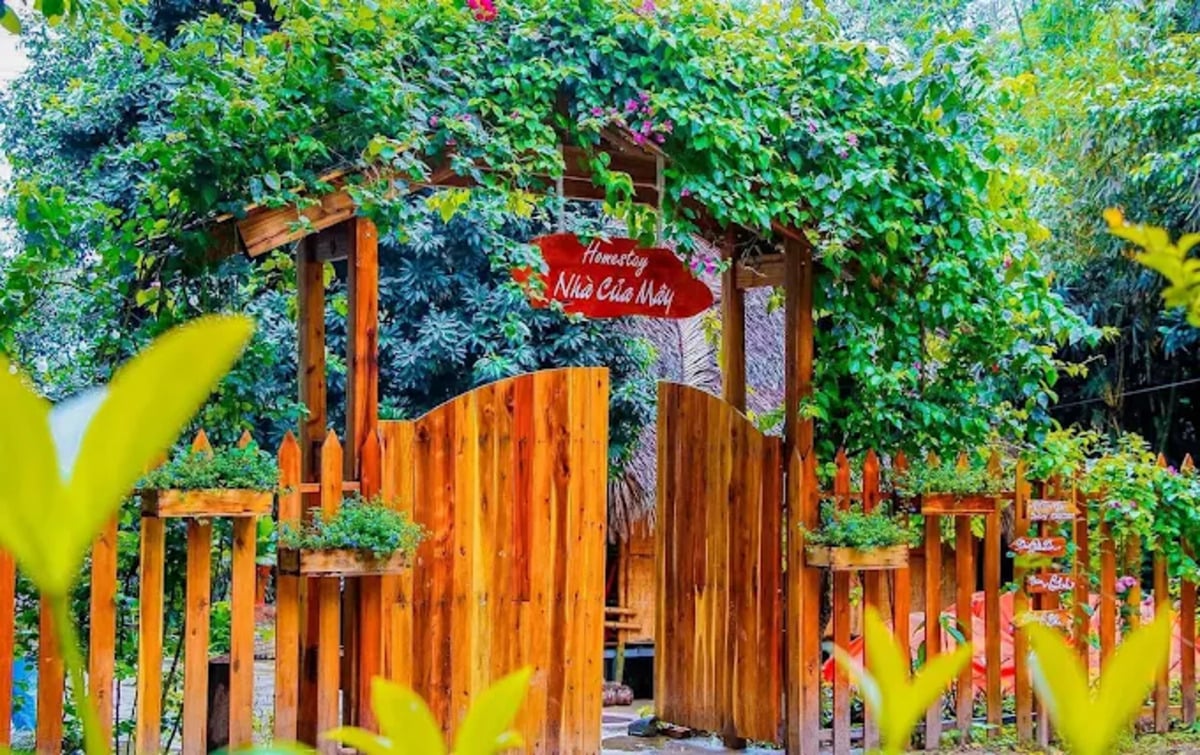 Nhà Của Mây (Ảnh: Nhà Của Mây - Hostel Núi Cấm)