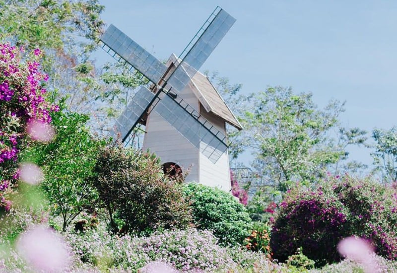 SOL Retreat Farm thu hút du khách bởi tổ hợp vui chơi đa dạng (Ảnh: Internet)