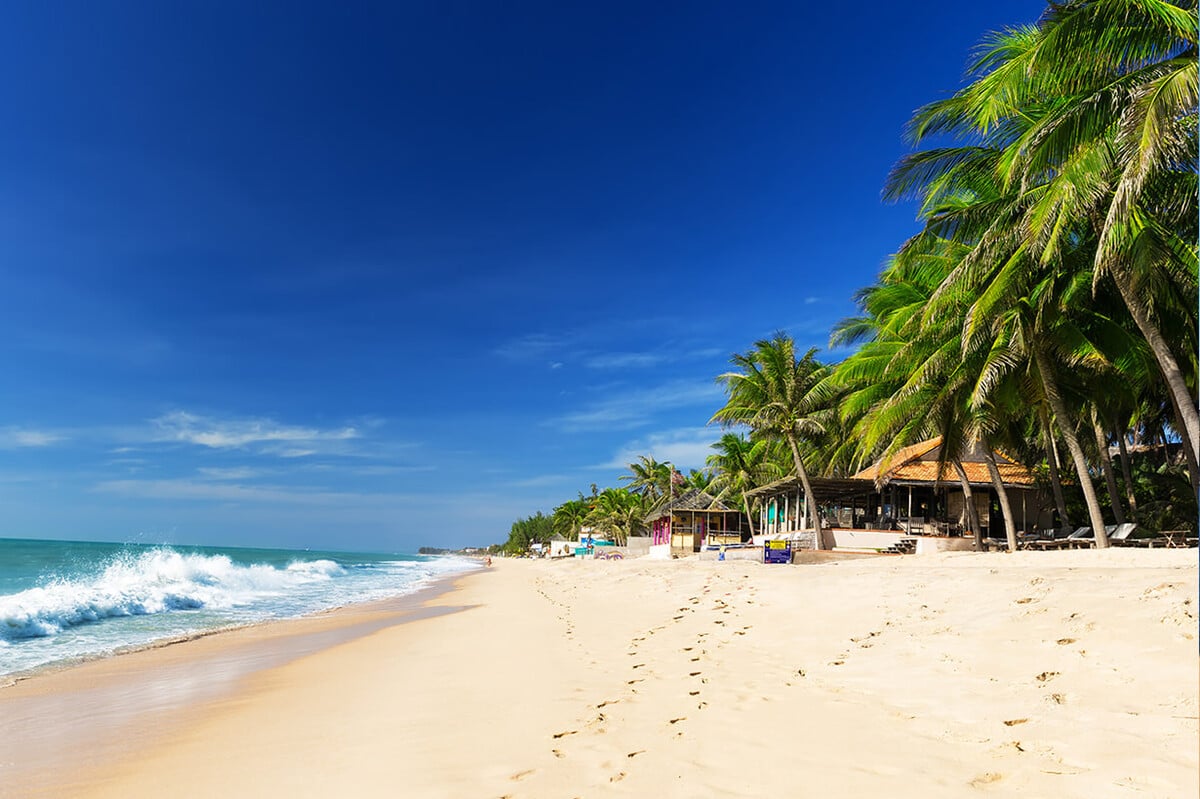 5 tour phổ biến miền Nam đi từ Sài Gòn đáng trải nghiệm nhất - ảnh 3