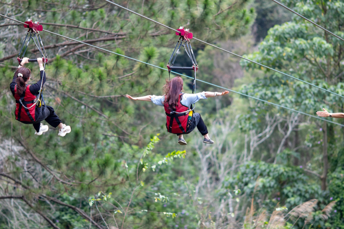 Đu Zipline (Nguồn: Internet)