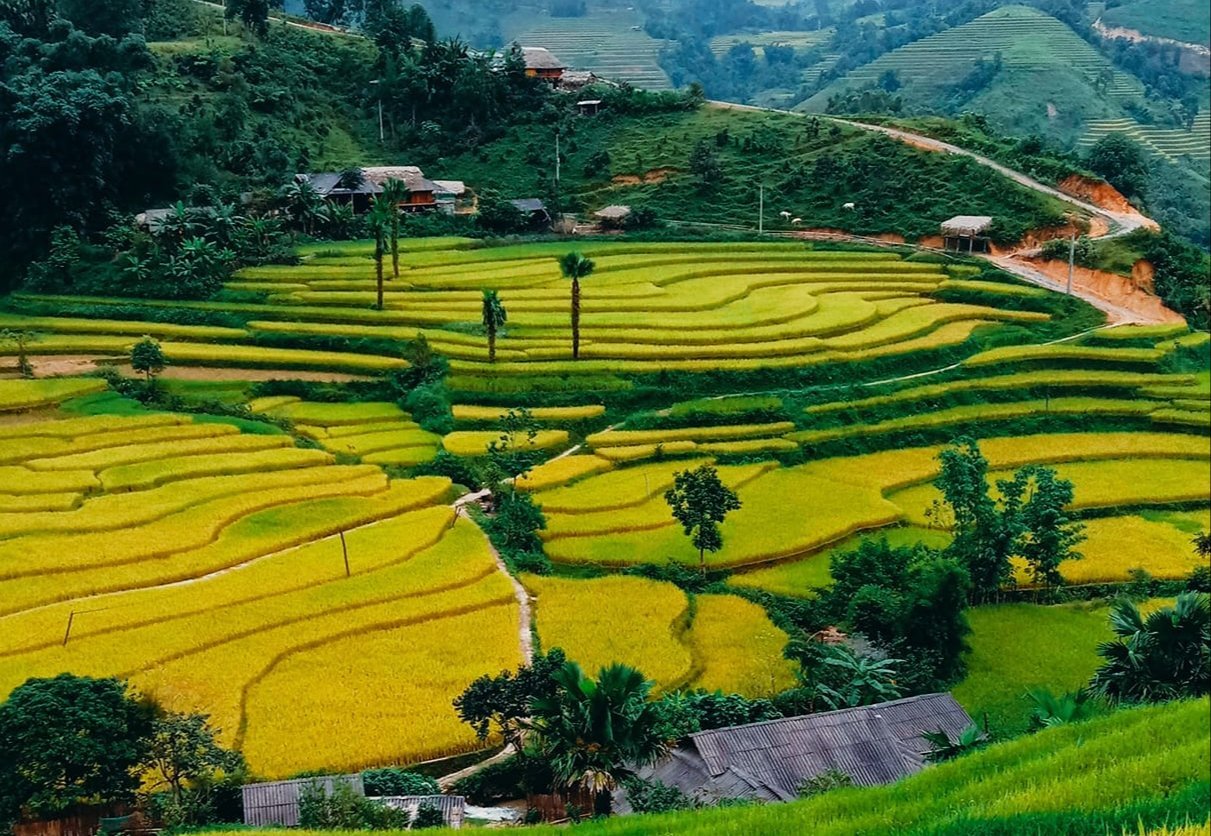 Các homestay tại Bản Liền cháy phòng (Ảnh: Internet)