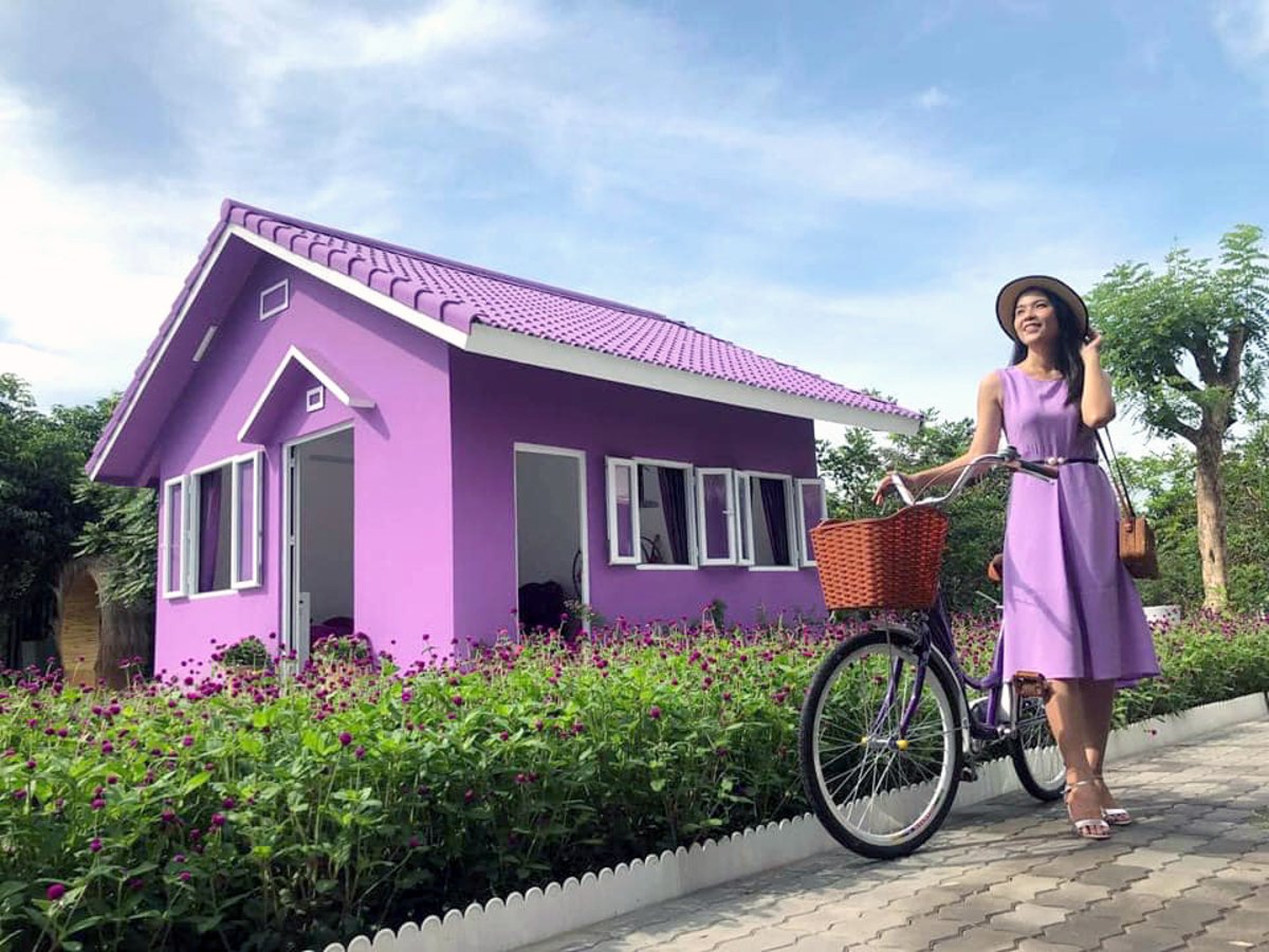 Căn nhà màu tím Cần Thơ: Điểm đến siêu “chill” cho tín đồ mê sống ảo - ảnh 1