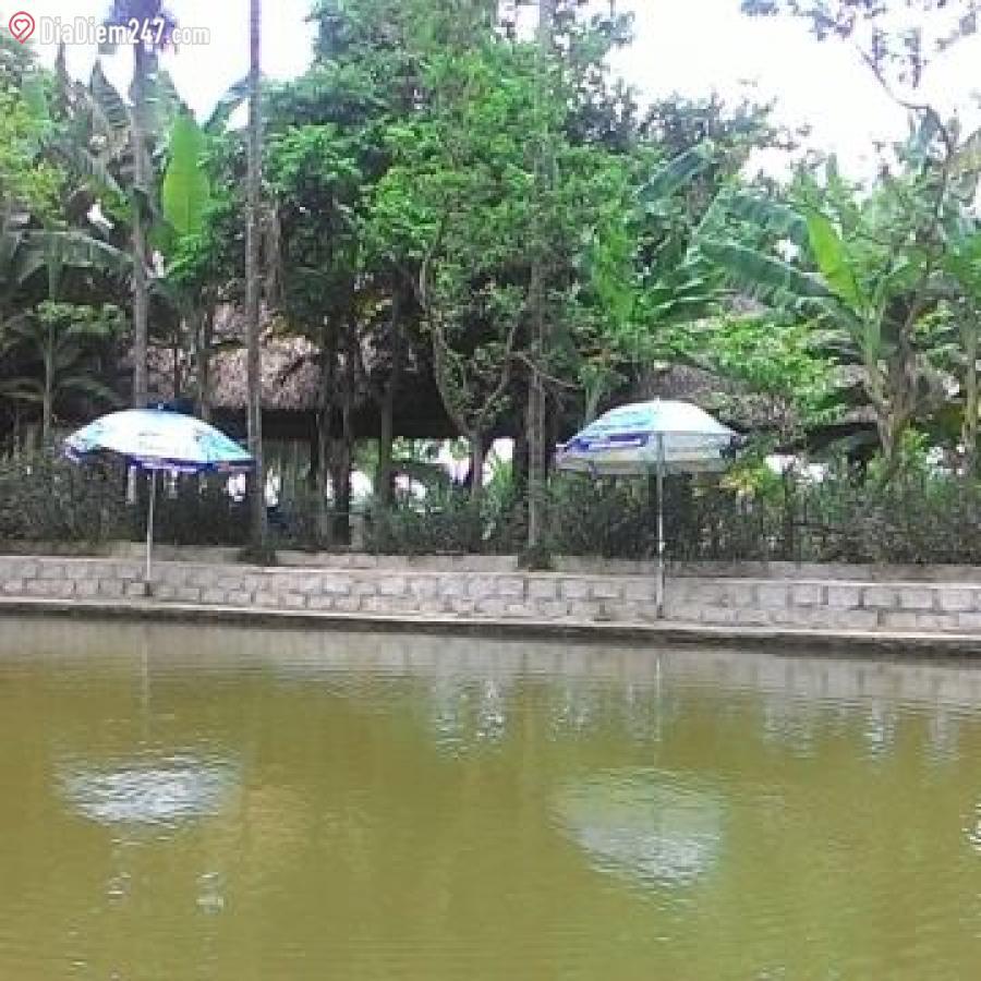 Khám phá 7 địa điểm câu cá tự nhiên ở Đà Nẵng đáng ghé nhất - ảnh 1