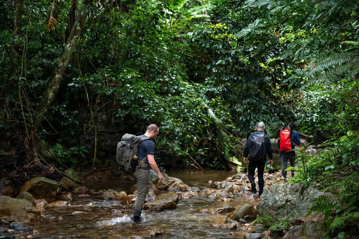 Trong 12 tháng gần nhất phải có kinh nghiệm trekking 1 tour qua đêm và 1-2 tour trekking trong ngày (Ảnh: Oxalis Adventure)
