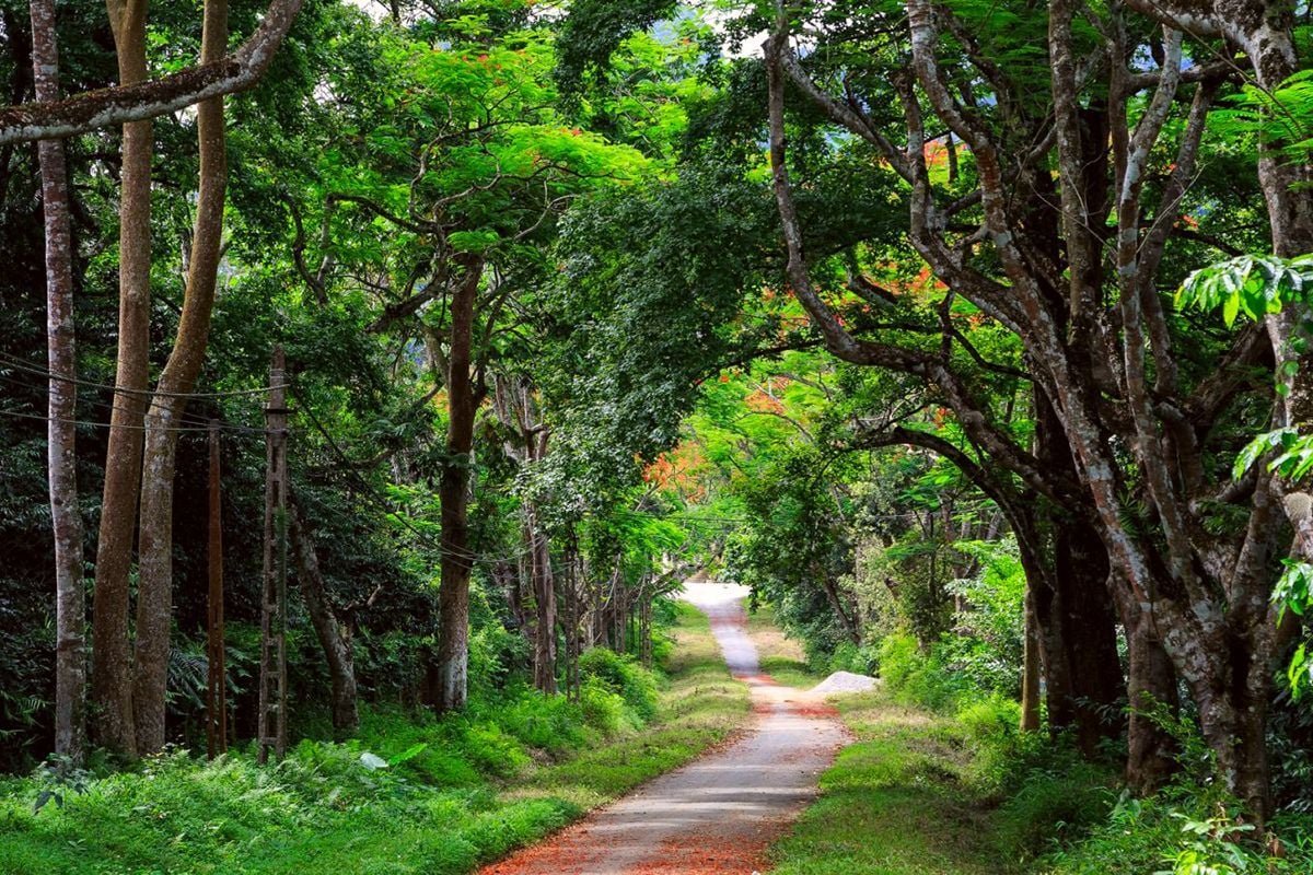 Du lịch Ninh Bình cùng người yêu nên đi những đâu đẹp và lãng mạn nhất? - ảnh 6