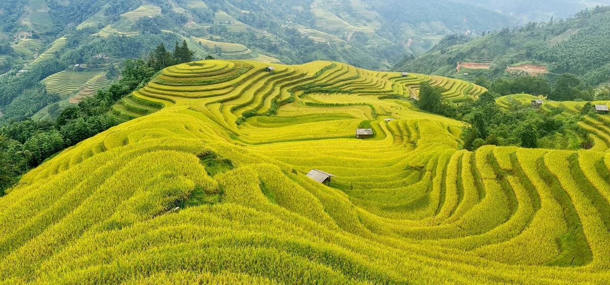 Lịch trình khám phá Hoàng Su Phì 3 ngày 2 đêm cho người mới đi lần đầu - ảnh 2