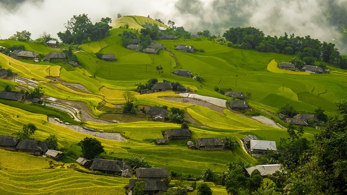 Lịch trình khám phá Hoàng Su Phì 3 ngày 2 đêm cho người mới đi lần đầu - ảnh 9