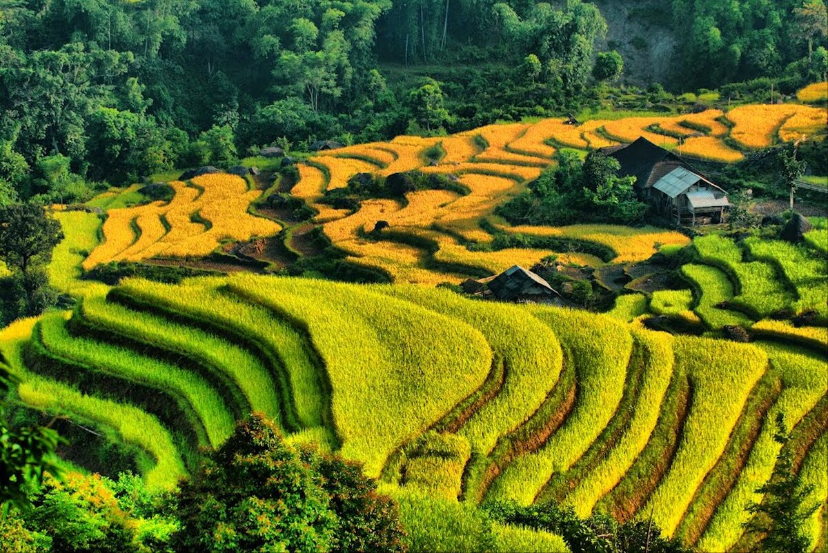 Vẻ đẹp của Nậm Ty. (Ảnh: Internet)