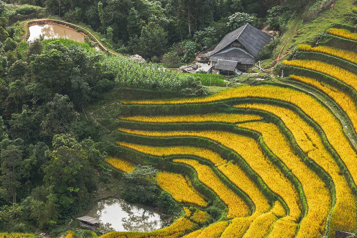 Chiêm ngưỡng vẻ đẹp nên thơ của Nậm Ty, Hoàng Su Phì - ảnh 2
