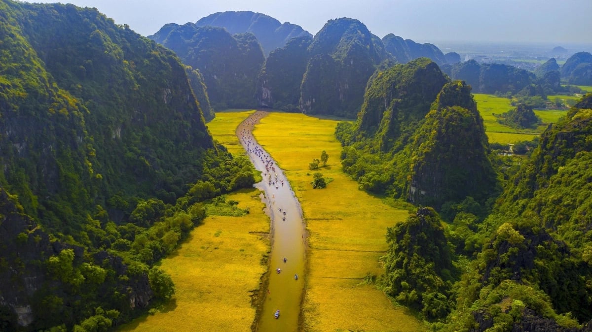 Chiêm ngưỡng những cánh đồng lúa đẹp nhất Việt Nam - ảnh 5