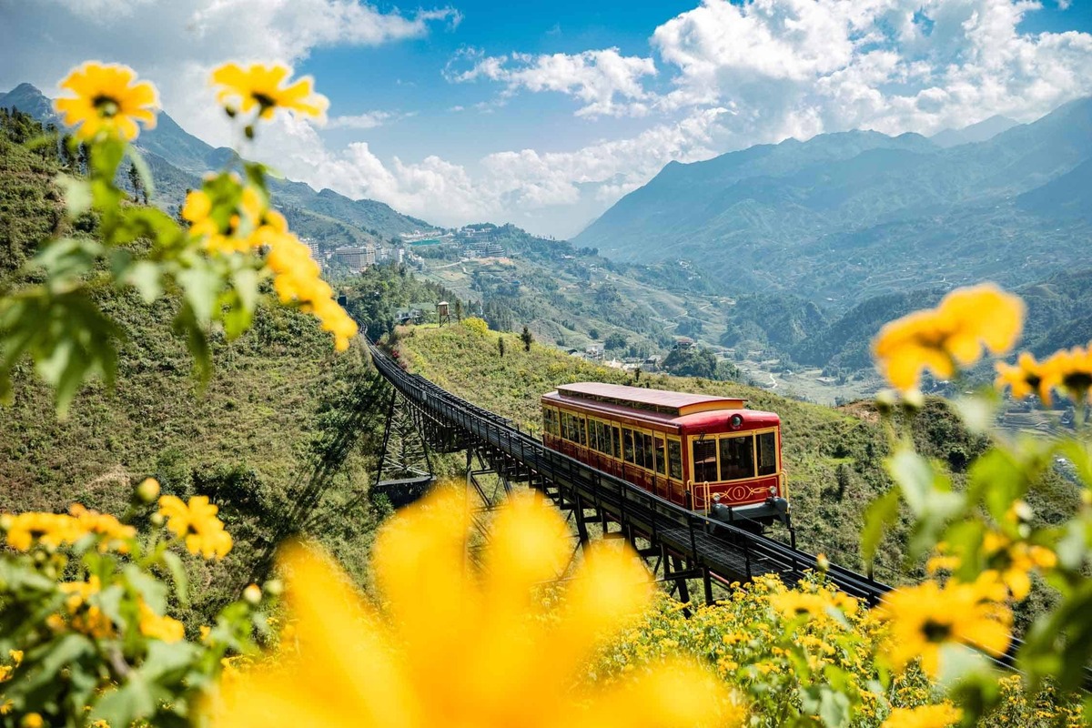 Lưu ngay 8 địa điểm du lịch Sapa cho cặp đôi nghỉ dưỡng hè 2025 - ảnh 1