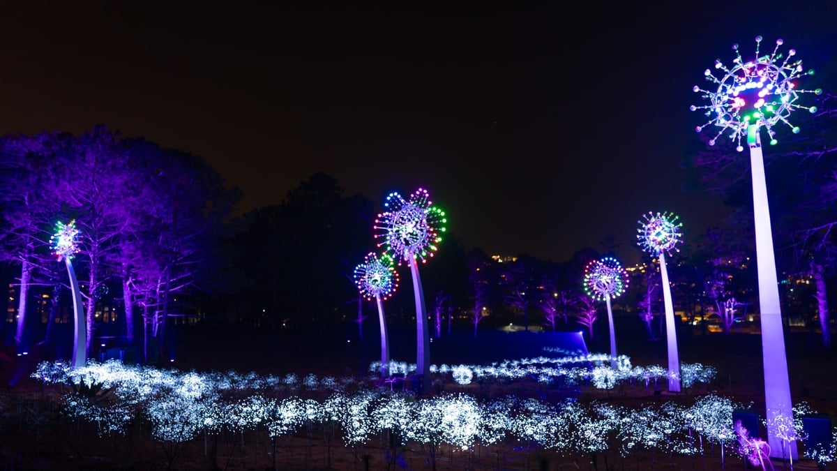 Ghé thăm công viên ánh sáng Delight Park (Ảnh: Delight Park Dalat)
