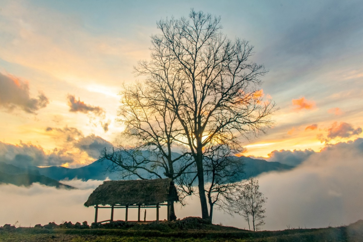 Top 5 cảnh đẹp mùa hè ở Lào Cai thu hút giới trẻ - ảnh 1