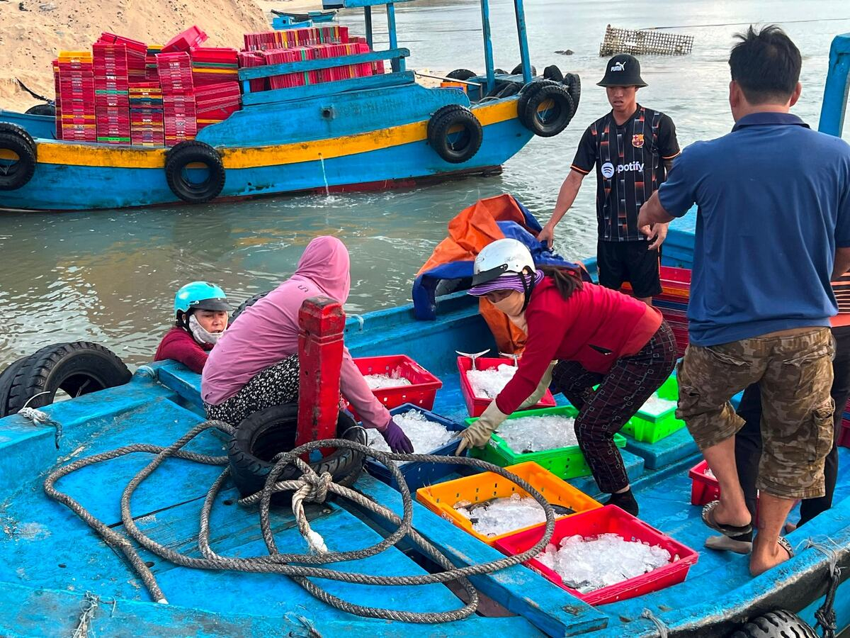 Chơi gì ở Hòn Tranh - Phú Quý? 5 trải nghiệm thú vị giúp bạn “nạp đầy vitamin sea” - ảnh 1