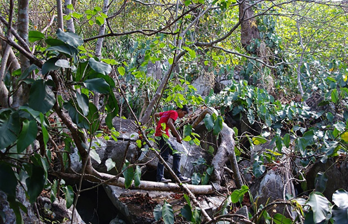 Trekking Ma Thiên Lãnh (Nguồn: Internet)