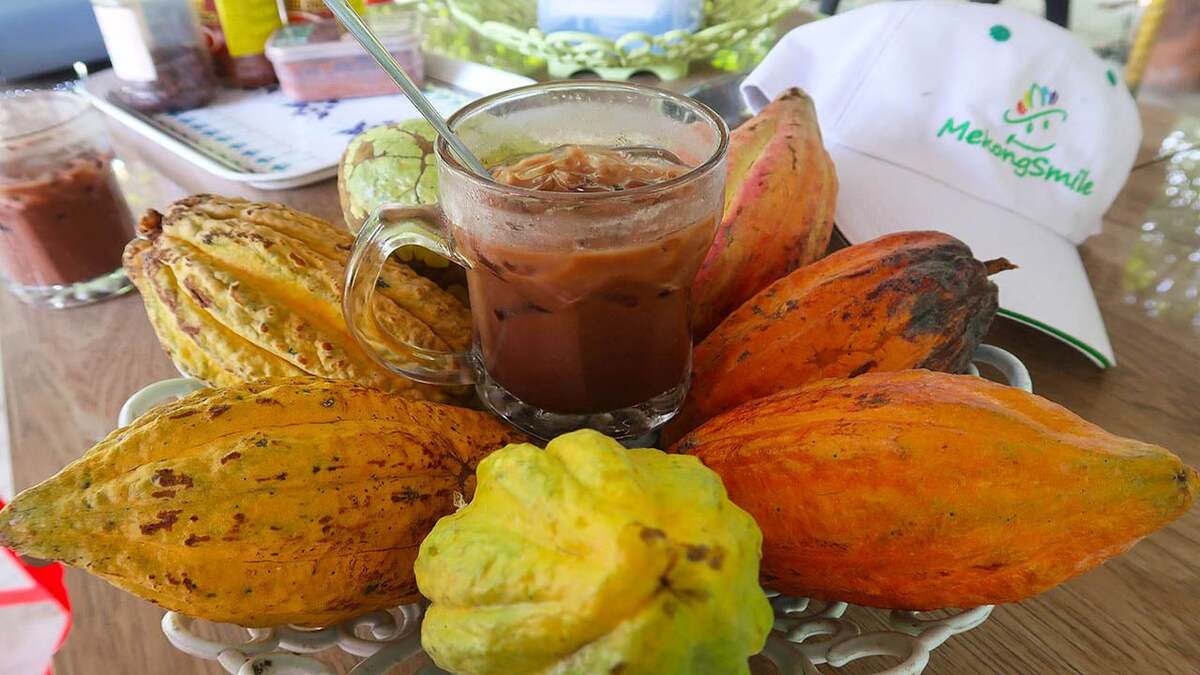 Thưởng thức cacao nóng hổi tại vườn (Nguồn: Internet)
