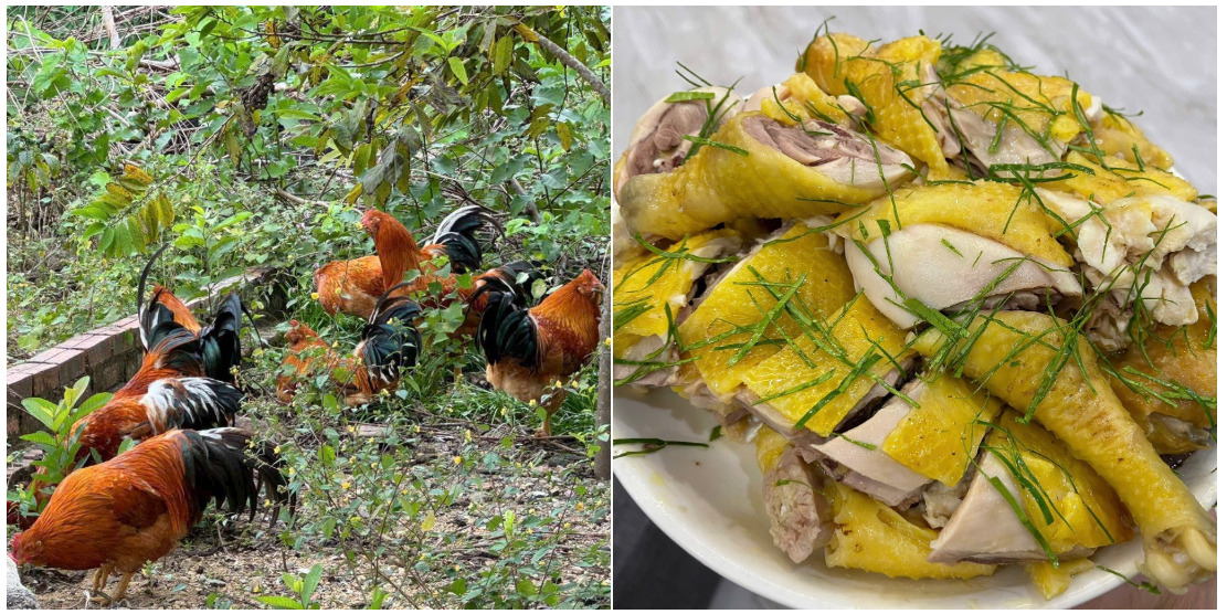 Ảnh: Nguyễn Thanh Tuyền