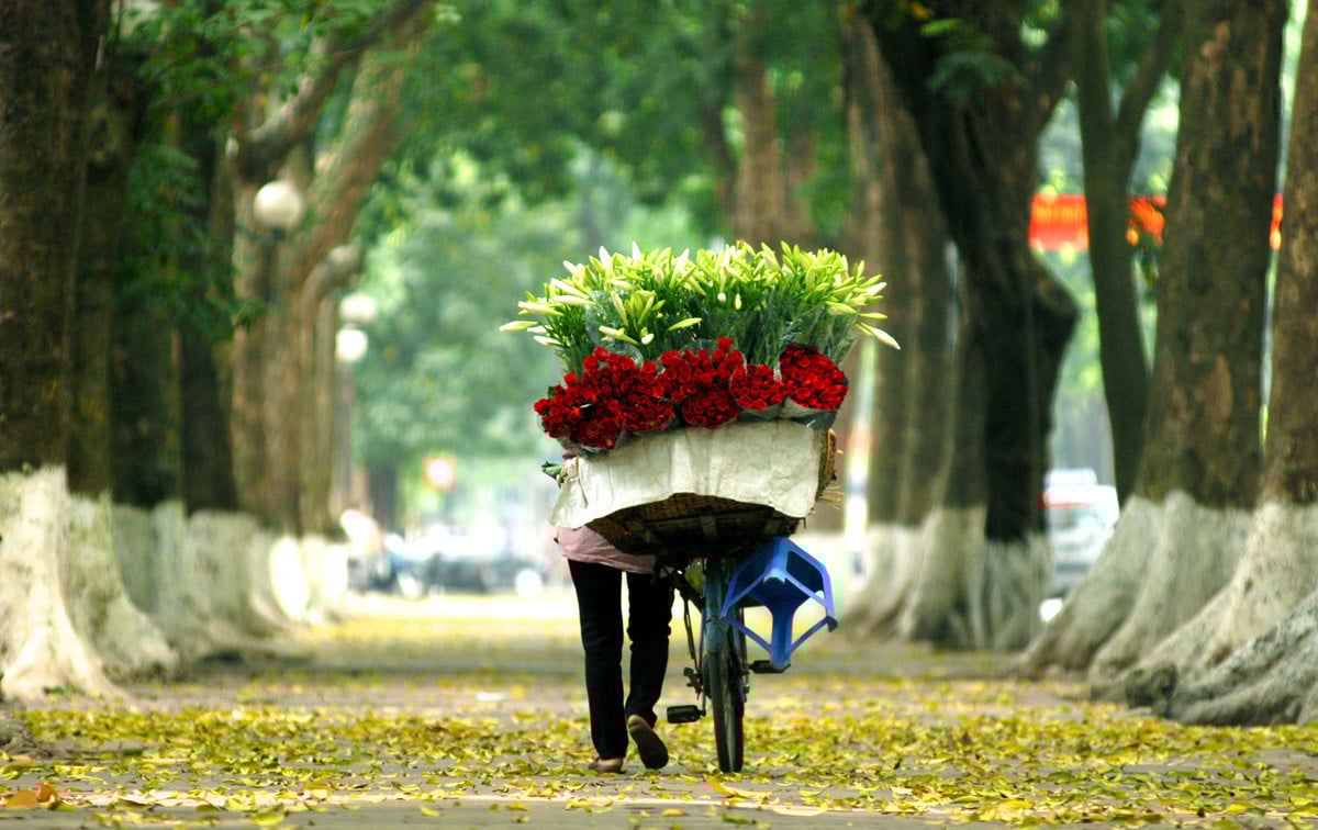 Mùa thu Hà Nội là mùa của cốm, sen. (Ảnh: Internet)
