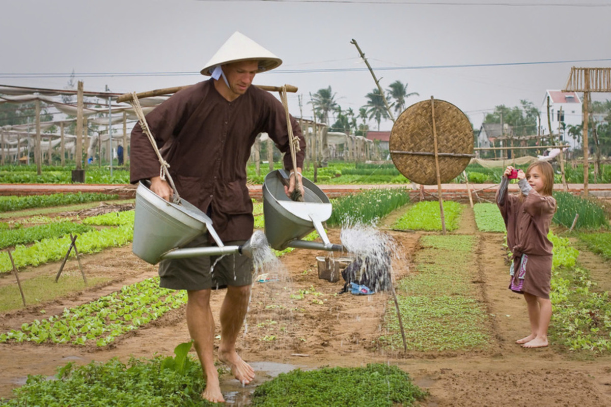 Trải nghiệm cuộc sống làm nông dân thực thụ ở làng rau Trà Quế (Nguồn: Internet)