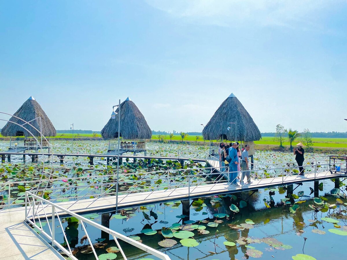 Khu du lịch sinh thái Thuận Hiếu sở hữu cánh đồng sen rộng đến 20.000m2 (Ảnh: Khu du lịch sinh thái Thuận Hiếu)