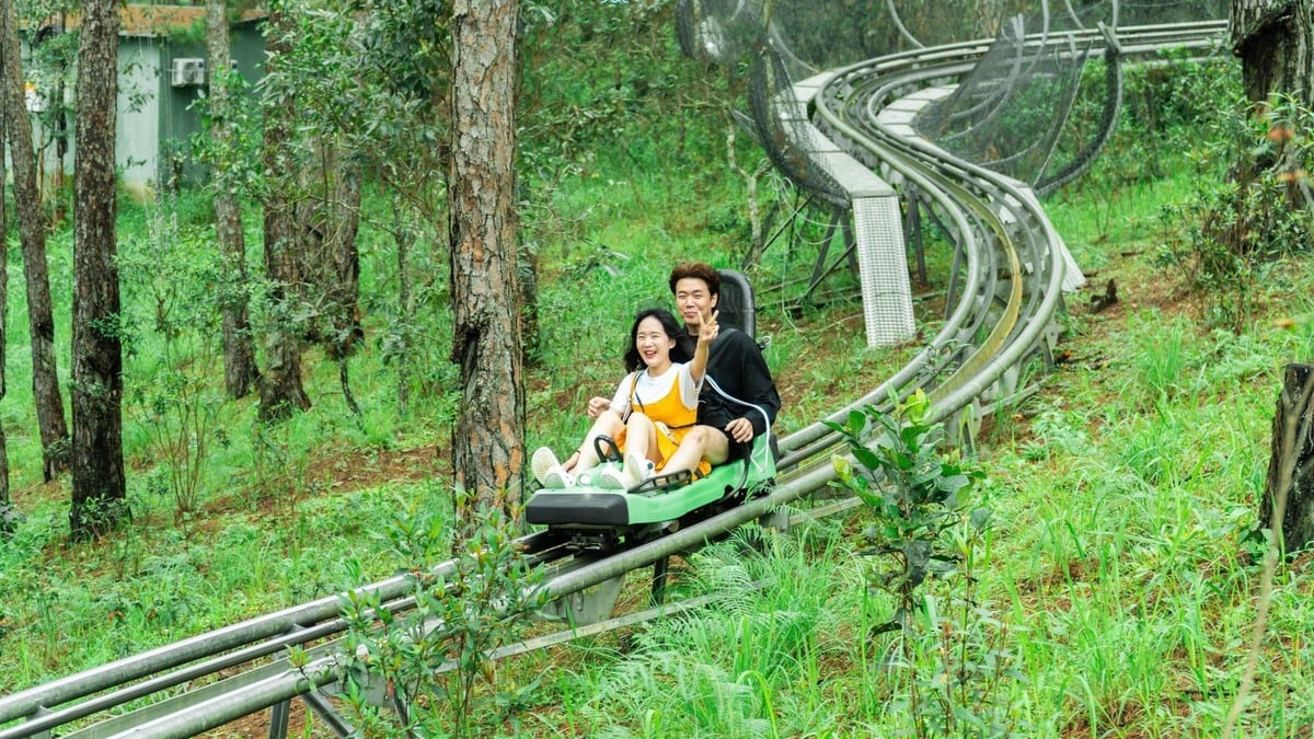 Thác Datanla Đà Lạt (Nguồn: Internet)