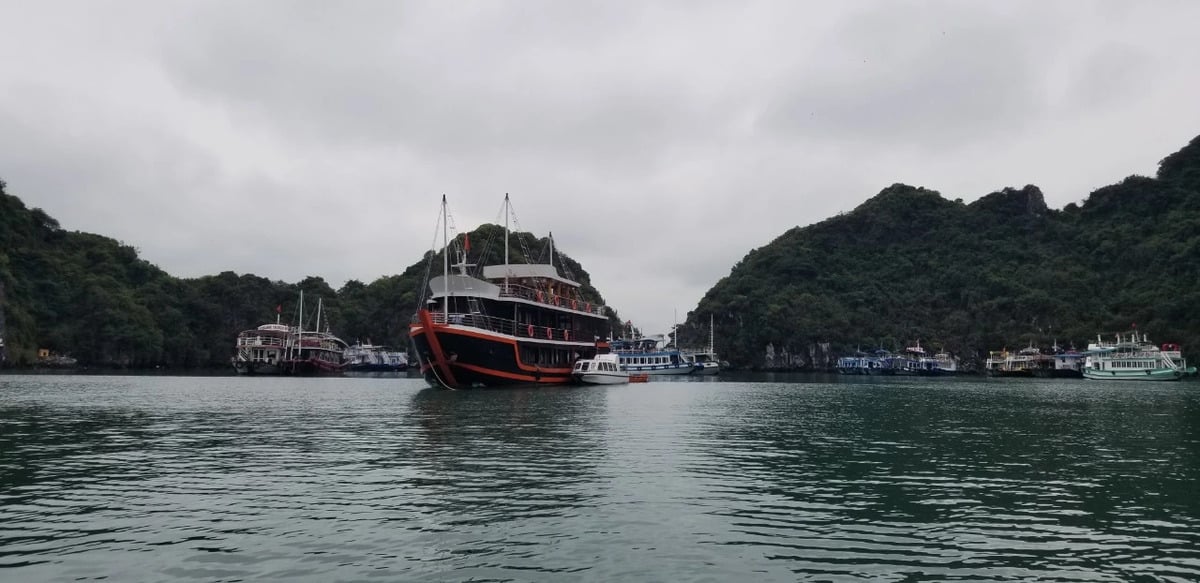 Cát Bà, Hải Phòng. (Ảnh: Internet)