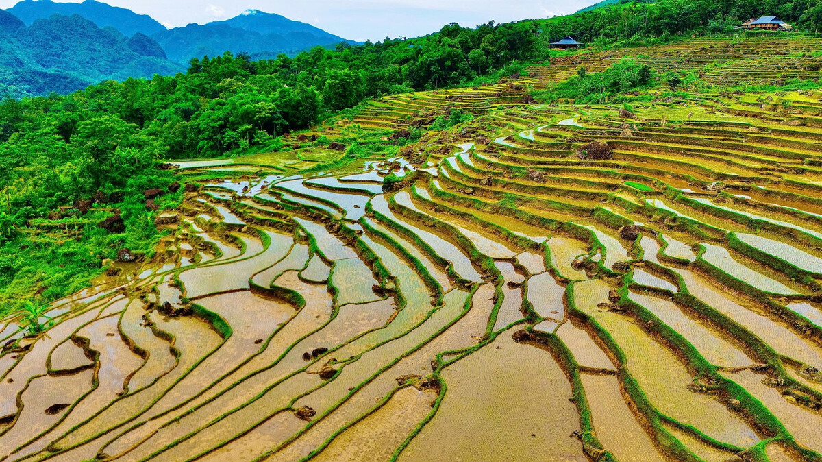 Chiêm ngưỡng tuyệt tác ruộng bậc thang Pù Luông 'đẹp như mơ' khi vào mùa nước đổ - ảnh 1