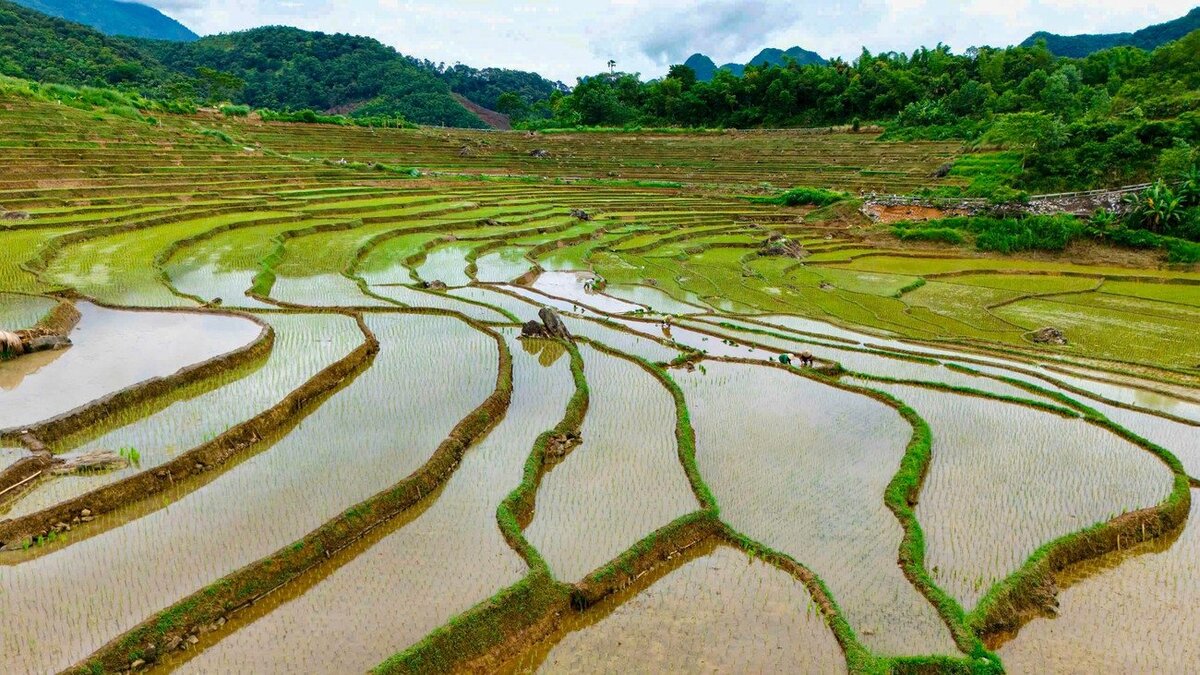Chiêm ngưỡng tuyệt tác ruộng bậc thang Pù Luông 'đẹp như mơ' khi vào mùa nước đổ - ảnh 4